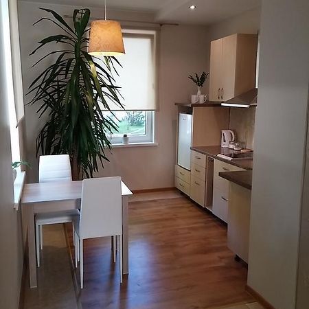 Jaukus Butas Siauliu Miesto Centre Apartment โชเล ภายนอก รูปภาพ