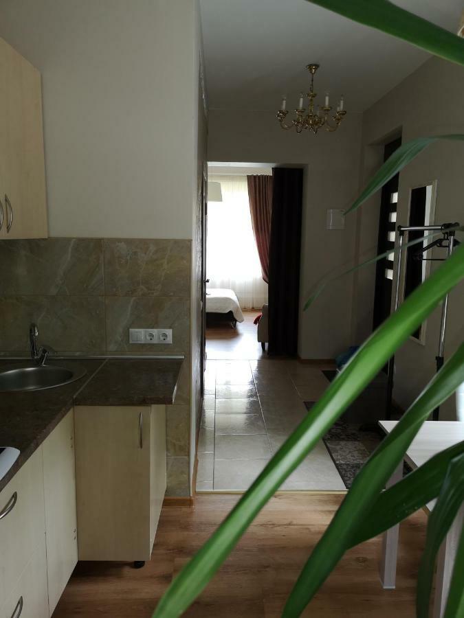 Jaukus Butas Siauliu Miesto Centre Apartment โชเล ภายนอก รูปภาพ