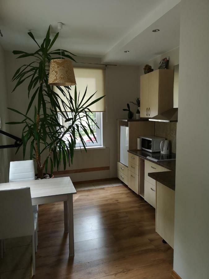 Jaukus Butas Siauliu Miesto Centre Apartment โชเล ภายนอก รูปภาพ