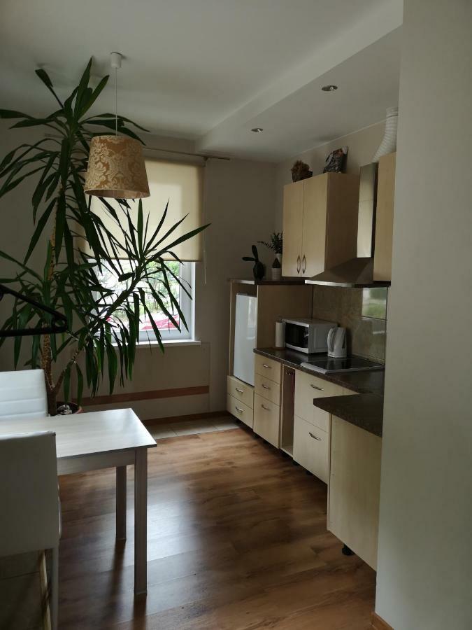 Jaukus Butas Siauliu Miesto Centre Apartment โชเล ภายนอก รูปภาพ